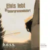 Hubert Treml & Franz Schuier - Elvis lebt in Untergrammelsdorf